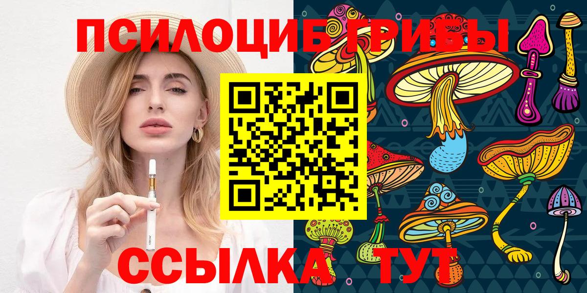 Ефремов  Галлюциногенные грибы Psilocybine cubensis  Вход с VPN 